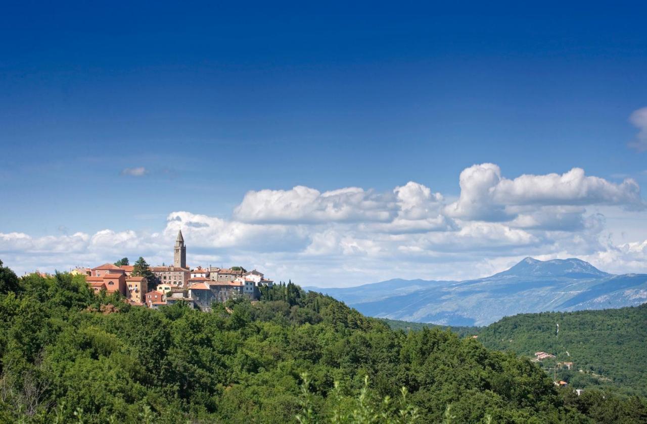 Roinizza In Prtlog Villa Labin  Dış mekan fotoğraf