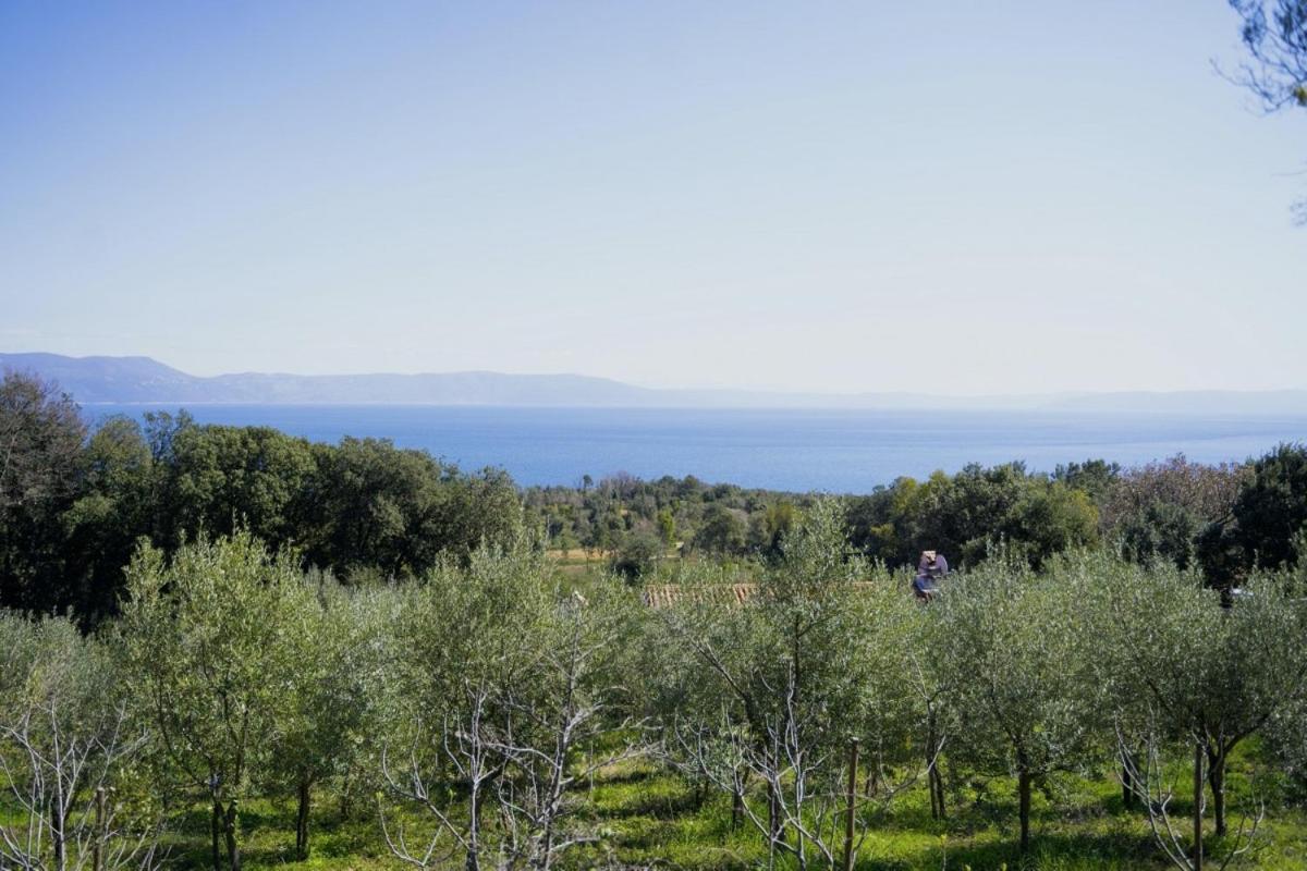 Roinizza In Prtlog Villa Labin  Dış mekan fotoğraf