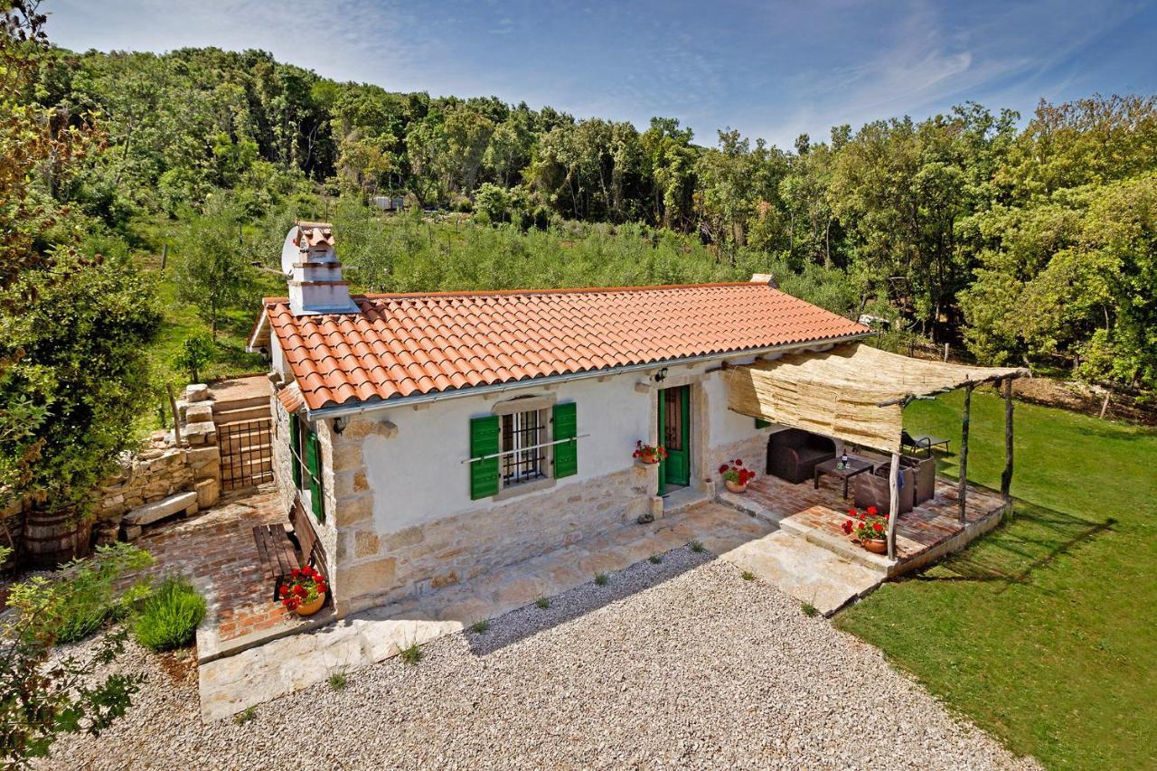 Roinizza In Prtlog Villa Labin  Dış mekan fotoğraf