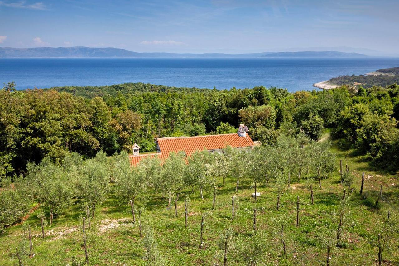 Roinizza In Prtlog Villa Labin  Dış mekan fotoğraf